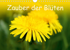 Zauber der Blüten (Wandkalender 2021 DIN A4 quer) von Ziehr,  Maria-Anna