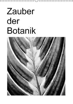 Zauber der Botanik (Wandkalender 2018 DIN A2 hoch) von Küster,  Friederike