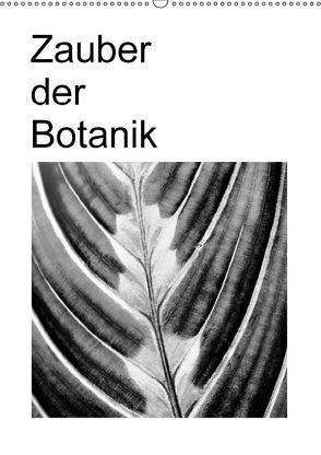 Zauber der Botanik (Wandkalender 2018 DIN A2 hoch) von Küster,  Friederike