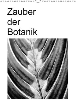 Zauber der Botanik (Wandkalender 2018 DIN A3 hoch) von Küster,  Friederike