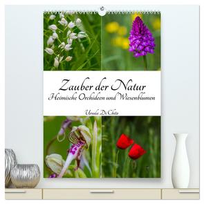 Zauber der Natur – Heimische Orchideen und Wiesenblumen (hochwertiger Premium Wandkalender 2024 DIN A2 hoch), Kunstdruck in Hochglanz von Di Chito,  Ursula