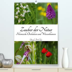 Zauber der Natur – Heimische Orchideen und Wiesenblumen (Premium, hochwertiger DIN A2 Wandkalender 2021, Kunstdruck in Hochglanz) von Di Chito,  Ursula