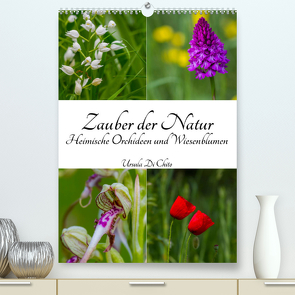 Zauber der Natur – Heimische Orchideen und Wiesenblumen (Premium, hochwertiger DIN A2 Wandkalender 2023, Kunstdruck in Hochglanz) von Di Chito,  Ursula