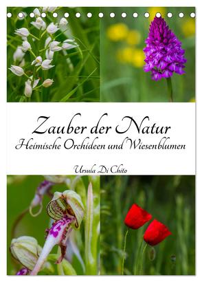 Zauber der Natur – Heimische Orchideen und Wiesenblumen (Tischkalender 2024 DIN A5 hoch), CALVENDO Monatskalender von Di Chito,  Ursula