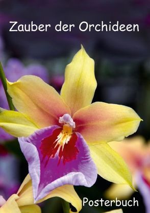 Zauber der Orchideen (Posterbuch DIN A4 hoch) von Rix,  Veronika