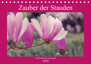 Zauber der Stauden (Tischkalender 2020 DIN A5 quer) von Bunse,  Marek