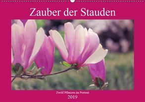 Zauber der Stauden (Wandkalender 2019 DIN A2 quer) von Bunse,  Marek