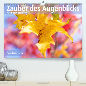 ZAUBER DES AUGENBLICKS Naturimpressionen (Premium, hochwertiger DIN A2 Wandkalender 2021, Kunstdruck in Hochglanz) von Maertens,  Bernd