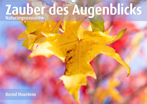 ZAUBER DES AUGENBLICKS Naturimpressionen (Wandkalender 2021 DIN A2 quer) von Maertens,  Bernd