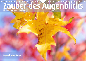 ZAUBER DES AUGENBLICKS Naturimpressionen (Wandkalender 2021 DIN A4 quer) von Maertens,  Bernd