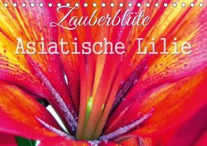 Zauberblüte – Asiatische Lilie (Tischkalender 2018 DIN A5 quer) von Gebhardt,  Sandra