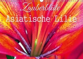 Zauberblüte – Asiatische Lilie (Wandkalender 2018 DIN A3 quer) von Gebhardt,  Sandra