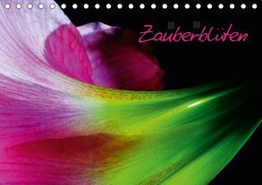 Zauberblüten (Tischkalender 2019 DIN A5 quer) von Kienitz,  Carsten