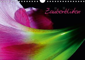 Zauberblüten (Wandkalender 2019 DIN A4 quer) von Kienitz,  Carsten