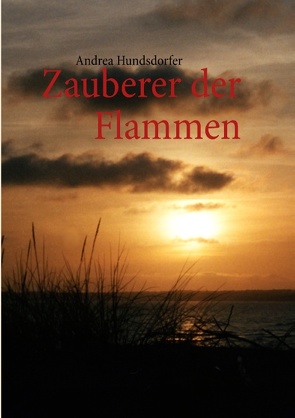 Zauberer der Flammen von Hundsdorfer,  Andrea