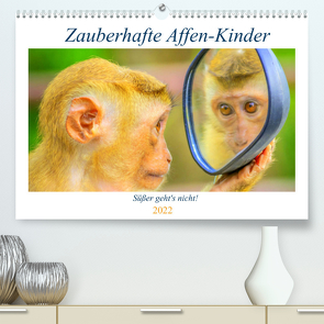 Zauberhafte Affenkinder. Süßer geht´s nicht! (Premium, hochwertiger DIN A2 Wandkalender 2022, Kunstdruck in Hochglanz) von Hurley,  Rose