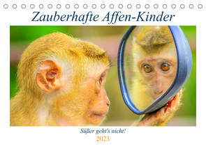 Zauberhafte Affenkinder. Süßer geht´s nicht! (Tischkalender 2023 DIN A5 quer) von Hurley,  Rose
