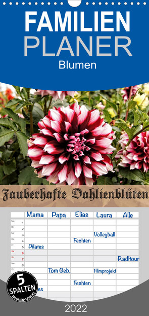 Zauberhafte Dahlienblüten – Familienplaner hoch (Wandkalender 2022 , 21 cm x 45 cm, hoch) von Schneller,  Helmut