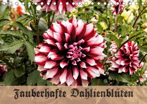 Zauberhafte Dahlienblüten (Tischkalender 2020 DIN A5 quer) von Schneller,  Helmut