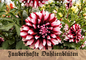 Zauberhafte Dahlienblüten (Tischkalender 2021 DIN A5 quer) von Schneller,  Helmut