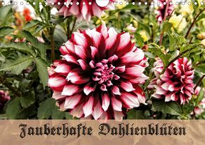 Zauberhafte Dahlienblüten (Wandkalender 2020 DIN A4 quer) von Schneller,  Helmut