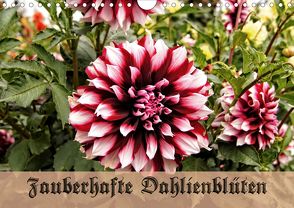 Zauberhafte Dahlienblüten (Wandkalender 2021 DIN A4 quer) von Schneller,  Helmut