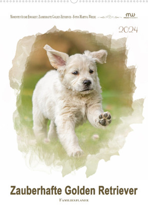 Zauberhafte Golden Retriever (Wandkalender 2024 DIN A2 hoch), CALVENDO Monatskalender von Wrede - Wredefotografie,  Martina