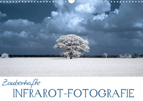 Zauberhafte Infrarot-Fotografie (Wandkalender 2022 DIN A3 quer) von Langenkamp,  Heike