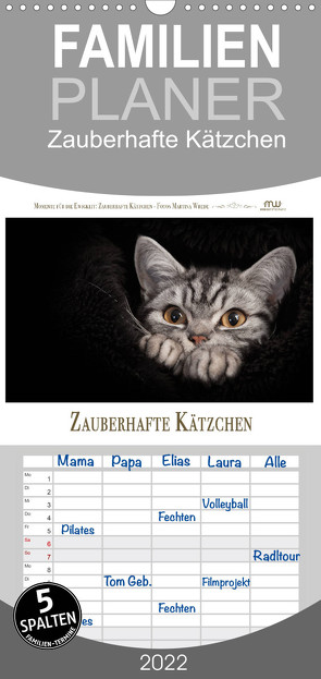 Familienplaner Zauberhafte Kätzchen (Wandkalender 2022 , 21 cm x 45 cm, hoch) von Wrede,  Martina