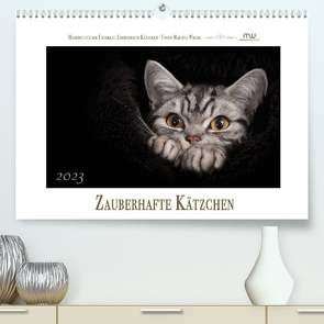 Zauberhafte Kätzchen (Premium, hochwertiger DIN A2 Wandkalender 2023, Kunstdruck in Hochglanz) von Wrede,  Martina