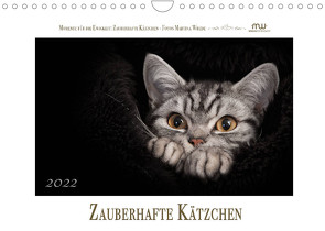 Zauberhafte Kätzchen (Wandkalender 2022 DIN A4 quer) von Wrede,  Martina