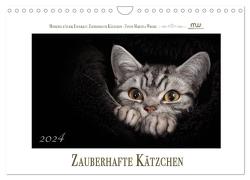 Zauberhafte Kätzchen (Wandkalender 2024 DIN A4 quer), CALVENDO Monatskalender von Wrede,  Martina