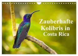 Zauberhafte Kolibris in Costa Rica (Wandkalender 2024 DIN A4 quer), CALVENDO Monatskalender von Rusch,  Winfried