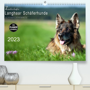 Zauberhafte Langhaar Schäferhunde (Premium, hochwertiger DIN A2 Wandkalender 2023, Kunstdruck in Hochglanz) von Schiller,  Petra