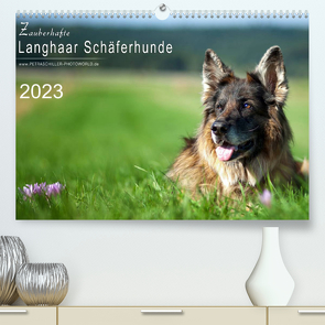 Zauberhafte Langhaar Schäferhunde (Premium, hochwertiger DIN A2 Wandkalender 2023, Kunstdruck in Hochglanz) von Schiller,  Petra