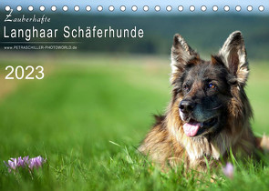 Zauberhafte Langhaar Schäferhunde (Tischkalender 2023 DIN A5 quer) von Schiller,  Petra