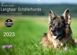 Zauberhafte Langhaar Schäferhunde (Wandkalender 2023 DIN A2 quer) von Schiller,  Petra