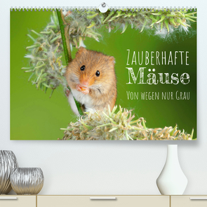 Zauberhafte Mäuse: Von wegen nur Grau (Premium, hochwertiger DIN A2 Wandkalender 2022, Kunstdruck in Hochglanz) von CALVENDO