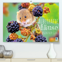 Zauberhafte Mäuse: Von wegen nur Grau (Premium, hochwertiger DIN A2 Wandkalender 2023, Kunstdruck in Hochglanz) von CALVENDO