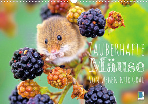 Zauberhafte Mäuse: Von wegen nur Grau (Wandkalender 2023 DIN A3 quer) von CALVENDO