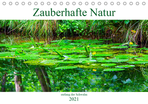 Zauberhafte Natur entlang der Schwalm (Tischkalender 2021 DIN A5 quer) von Schwarze,  Nina