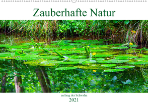 Zauberhafte Natur entlang der Schwalm (Wandkalender 2021 DIN A2 quer) von Schwarze,  Nina