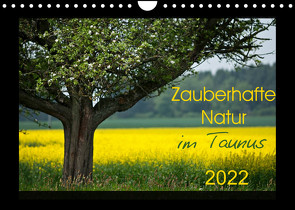 Zauberhafte Natur im Taunus (Wandkalender 2022 DIN A4 quer) von Schiller,  Petra