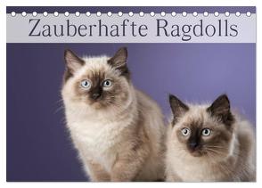 Zauberhafte Ragdolls / Geburtstagskalender (Tischkalender 2024 DIN A5 quer), CALVENDO Monatskalender von Noack,  Nicole