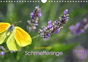 Zauberhafte Schmetterlinge (Wandkalender 2020 DIN A4 quer) von May,  Ela