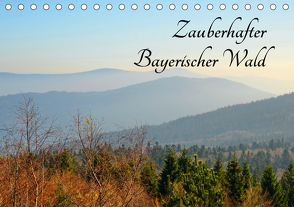 Zauberhafter Bayerischer Wald (Tischkalender 2021 DIN A5 quer) von Stein,  Karin