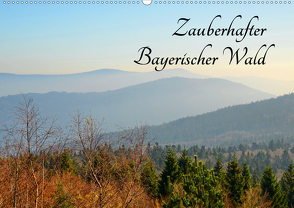 Zauberhafter Bayerischer Wald (Wandkalender 2021 DIN A2 quer) von Stein,  Karin