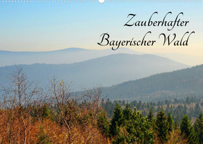 Zauberhafter Bayerischer Wald (Wandkalender 2022 DIN A2 quer) von Stein,  Karin