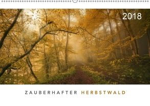 Zauberhafter Herbstwald (Wandkalender 2018 DIN A2 quer) von Maier,  Norbert