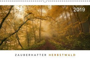 Zauberhafter Herbstwald (Wandkalender 2019 DIN A3 quer) von Maier,  Norbert